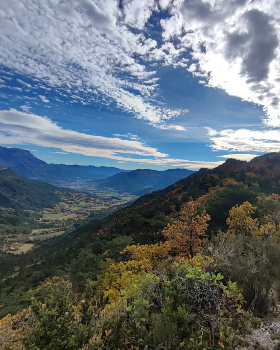 Paysage de la vallée du Diois